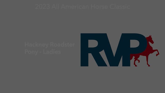 AAC23 - Class 5 - Hackney Roadster Po...