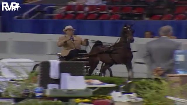 2004 World's Championship Horse Show ...