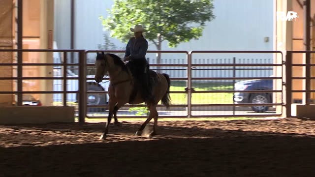 MGN19 - Class 647 - Ranch Riding Patt...