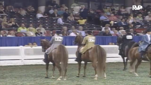 2006 WCHS Class 168 Three Gaited Pony...