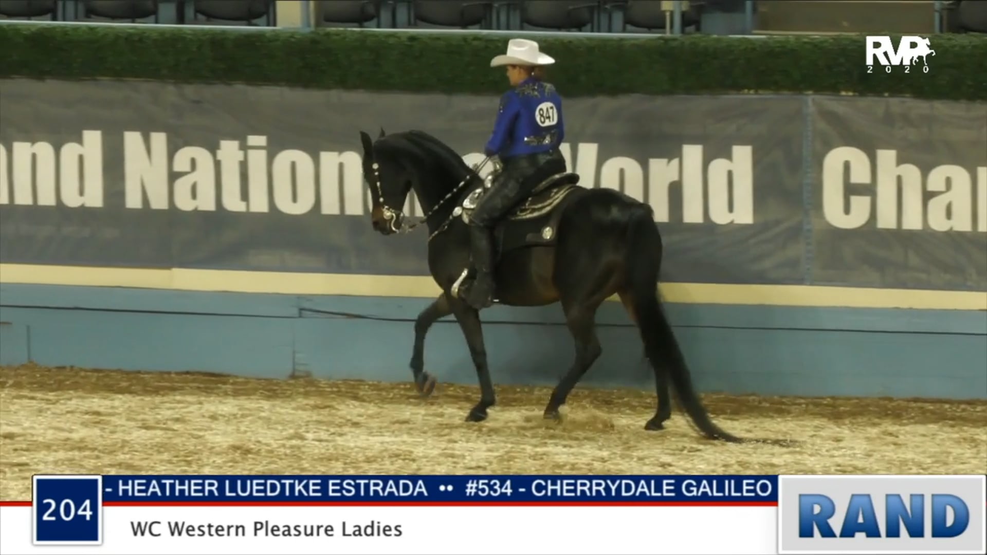 2020 MGN - Class 204 WC Western Pleasure Ladies