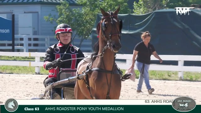 LJL22 - Class 63 - AHHS Roadster Pony...
