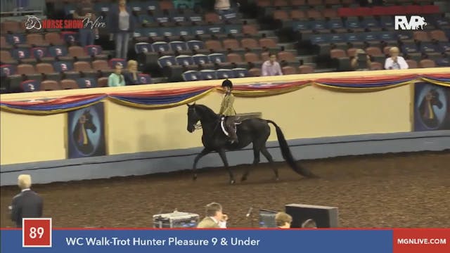 2015 MGN - Class 89 WC Walk:Trot Hunt...