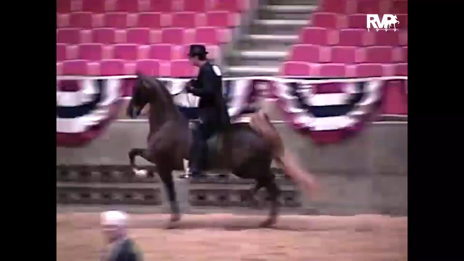 1999 Wisconsin Futurity - Three Gaited Open - Oh Girl and Rob Kritzler, up 