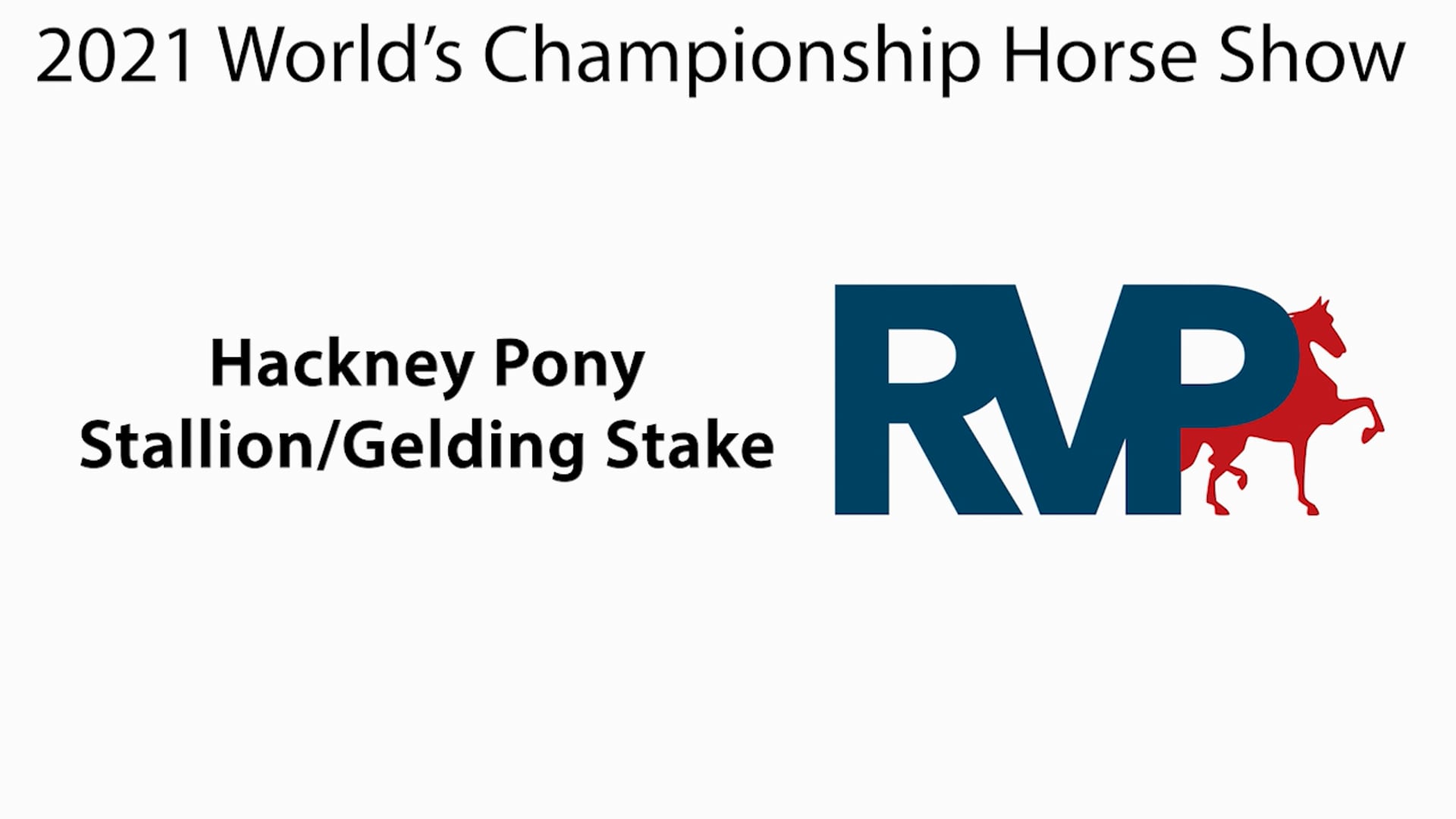 WCHS21 - Class 150 - Hackney Pony Stallion Gelding Stake