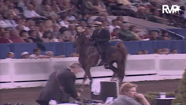 2003 WCHS Class 170 Three Year Old Fi...