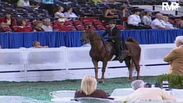 2009 World's Championship Horse Show ...