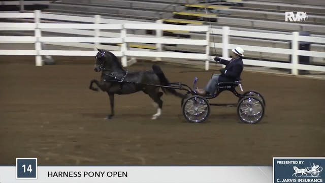SEC17 - Class 14 - Crystal Creek's Di...