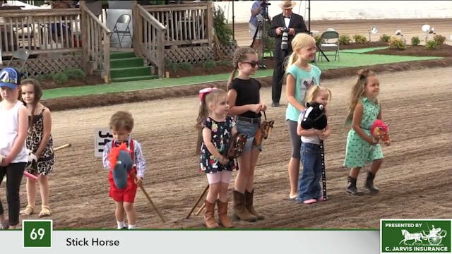 MCF17 - Class 69 - Stick Horse Class