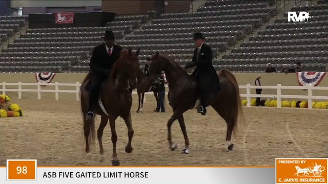 KFC 2020 - Class 98 ASB Five Gaited L...