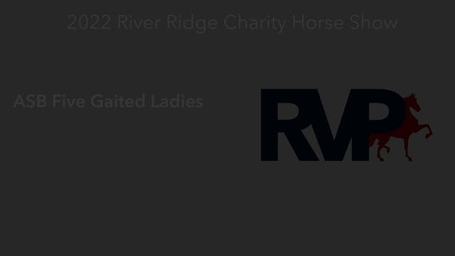 RR22 - Class 101.1 -  ASB Five Gaited...