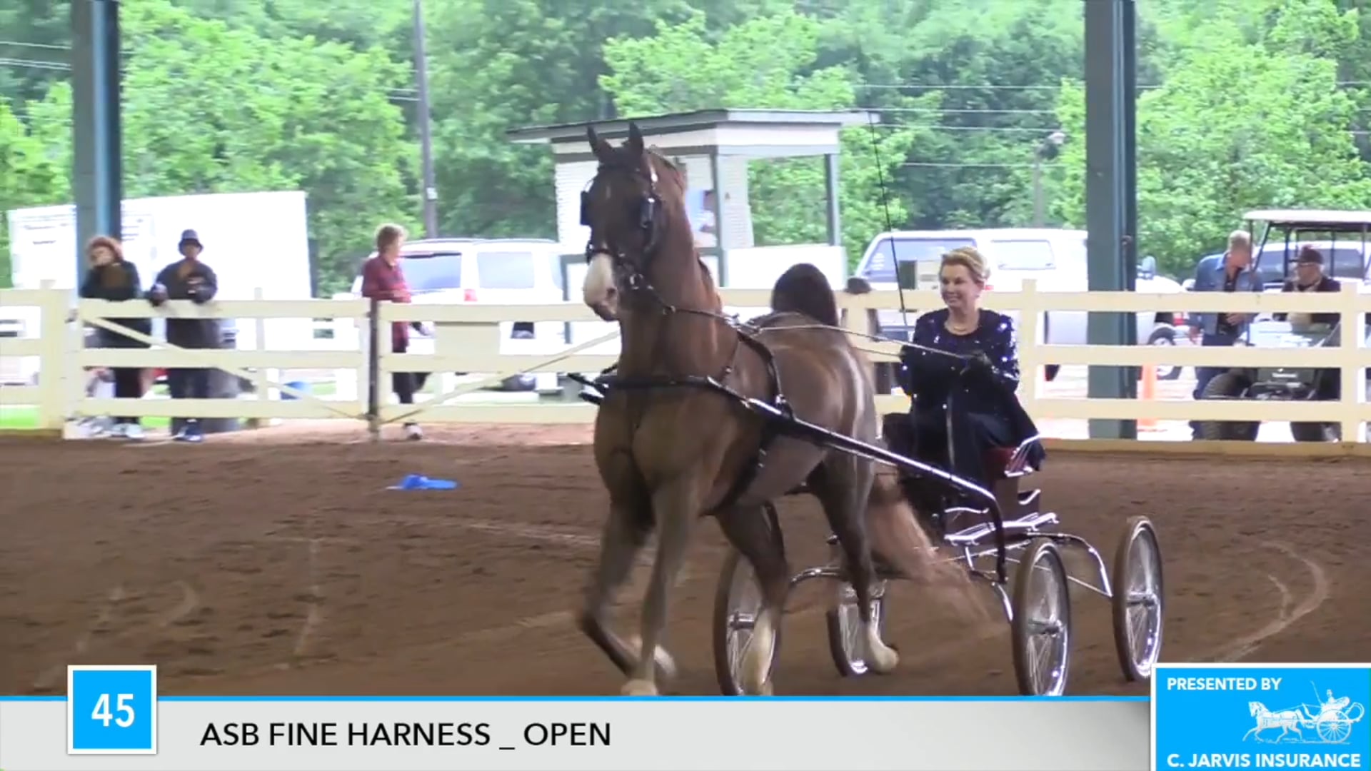 DC17 - Alde Mar's Crystal Pistol 