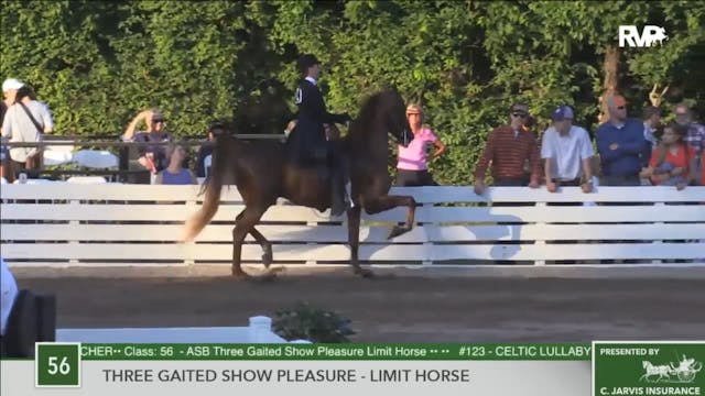 2016 RC - Class 56 Three Gaited Show ...