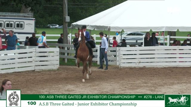 RC24 - Class 100 - ASB Three Gaited J...