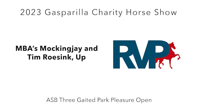 GASP23 - Class 16 - MBA's Mockingjay ...