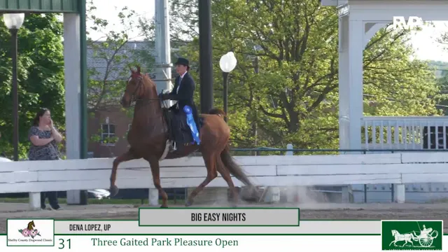 DC26 - Class 31 - Big Easy Nights and...