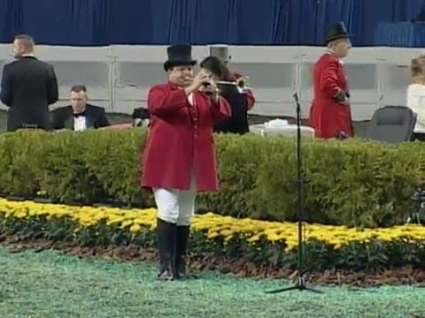 2008 WCHS Class 42 Three Gaited Stake