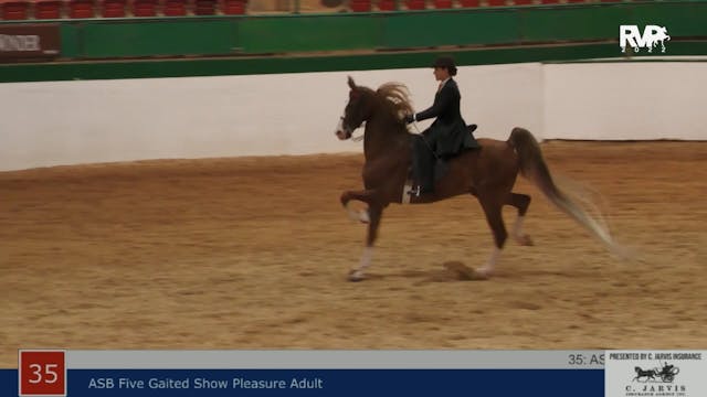 NCSC22 - Class 35 -  ASB Five Gaited ...