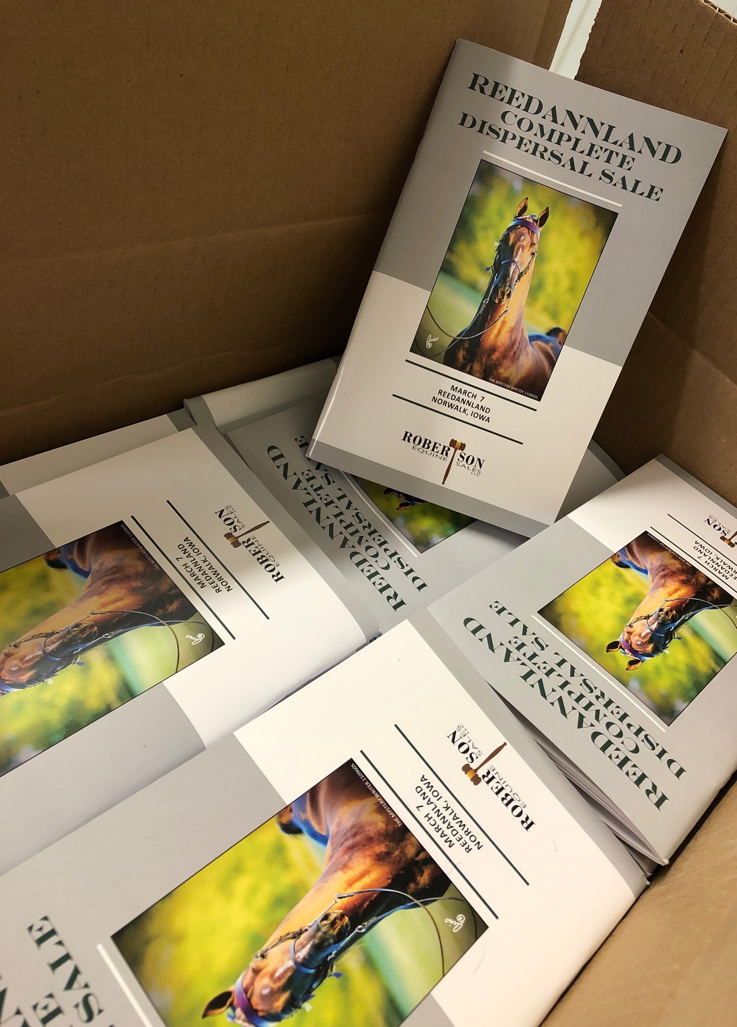 Reedannland Complete Dispersal Sale 2020