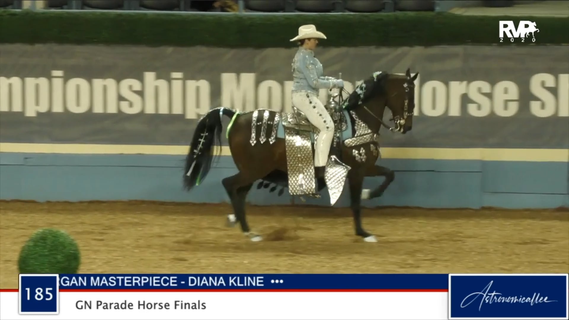 2020 MGN - Class 185 GN Parade Horse Finals