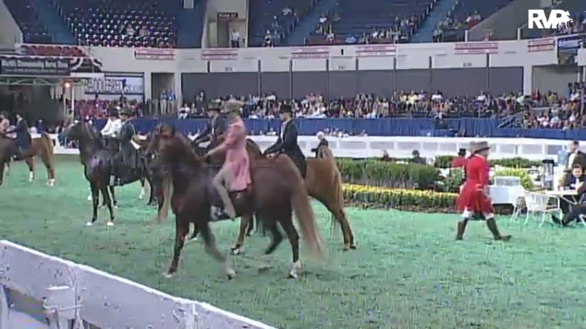 2010 World's Championship Horse Show Class 96 Junior Exhibitor Five Gaited-Rider 14-17 Division 2
