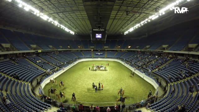 2014 KC - Class 19 Three Gaited 15.2 ...