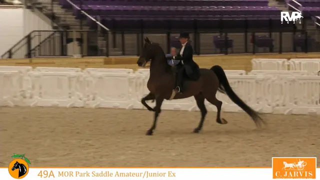 CC26 - Class 49a - Morgan Park Saddle...