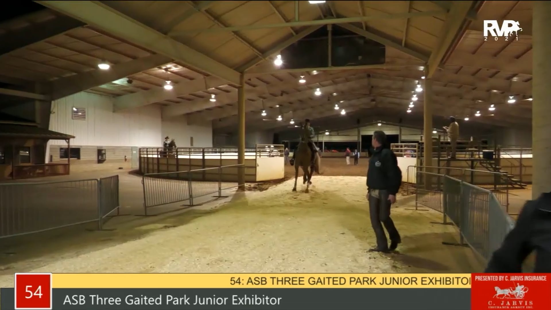 PA21 - Class 54 ASB Three Gaited Park Junior Exhibitor