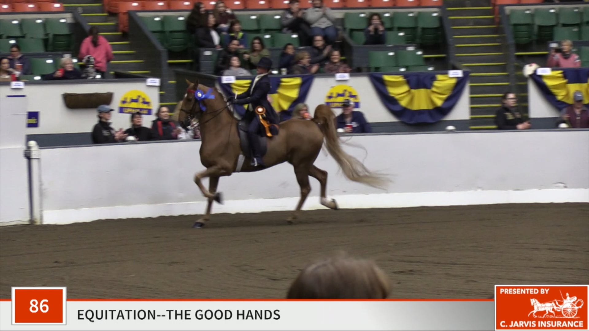 UPHA14-19 - Class 86 - Patrick McMurtrie, up