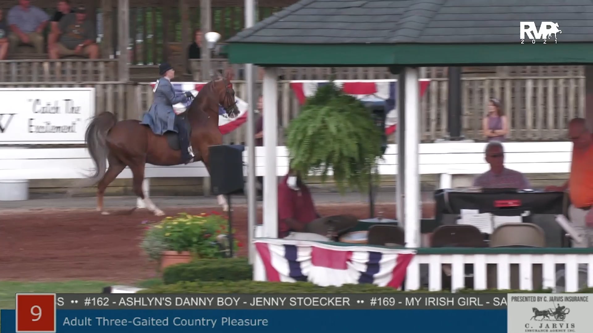 SHS21 - Class 9 -  Adult Three Gaited Country Pleasure