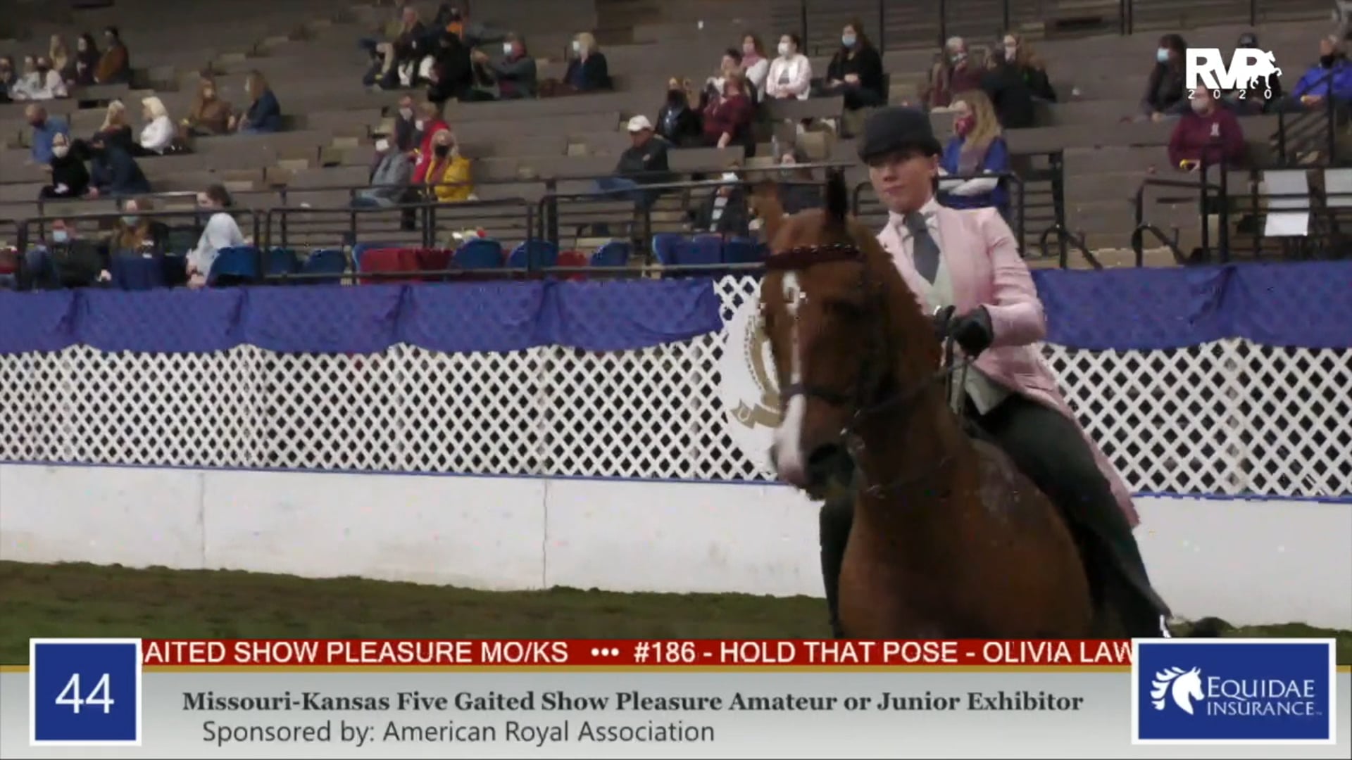 2020 AR - Class 44 MO:KS Five Gaited Show Pleasure
Amateur or Junior Exhibitor