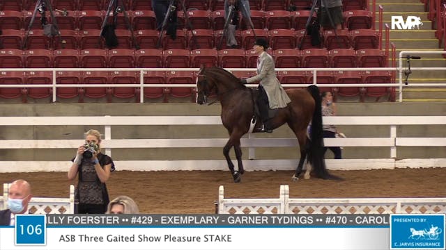 2020 ASF - Class 106 ASB Three Gaited...
