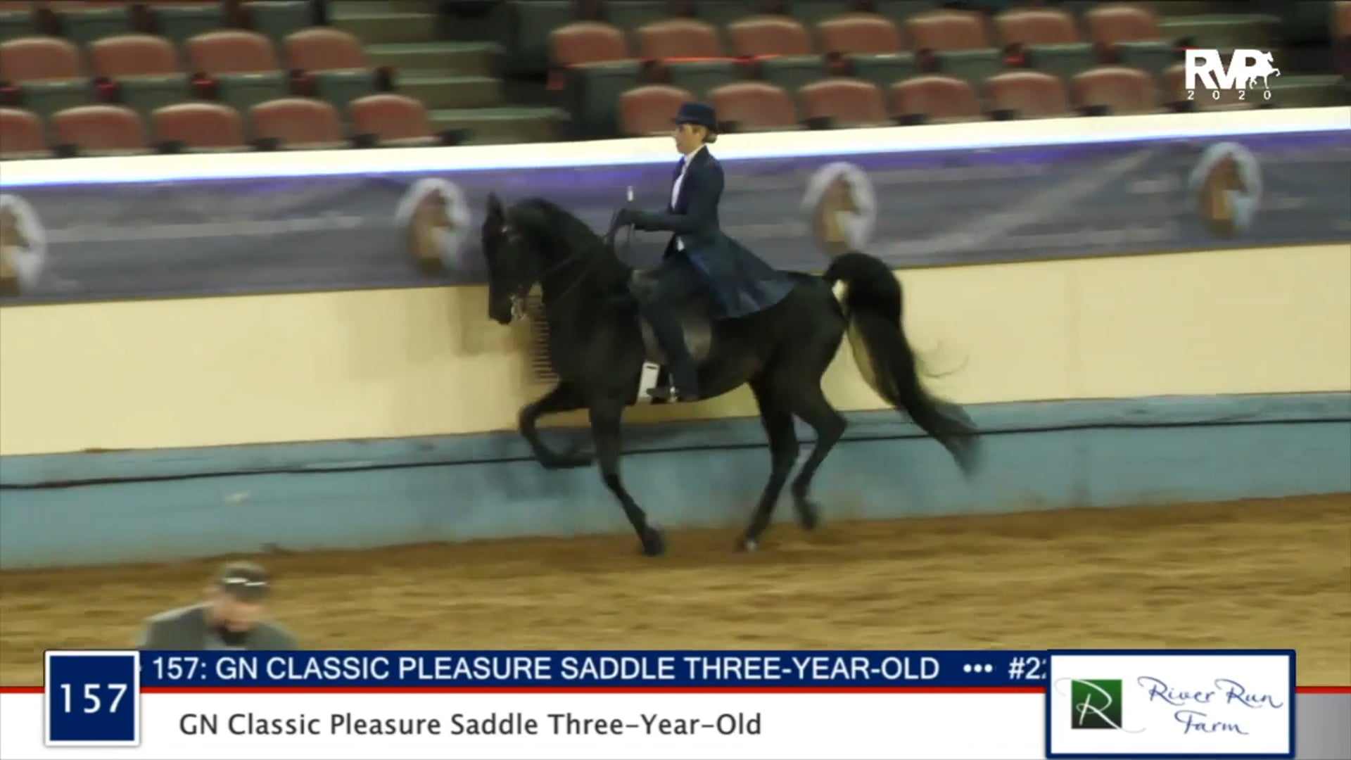 2020 MGN - Class 157 GN Classic Pleasure Saddle Three-Year-Old