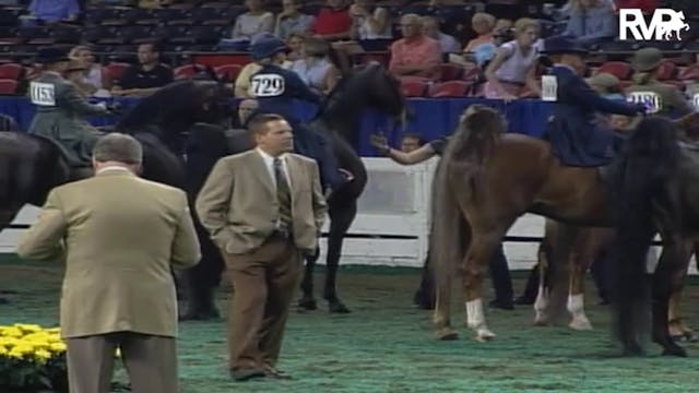 2004 World's Championship Horse Show ...