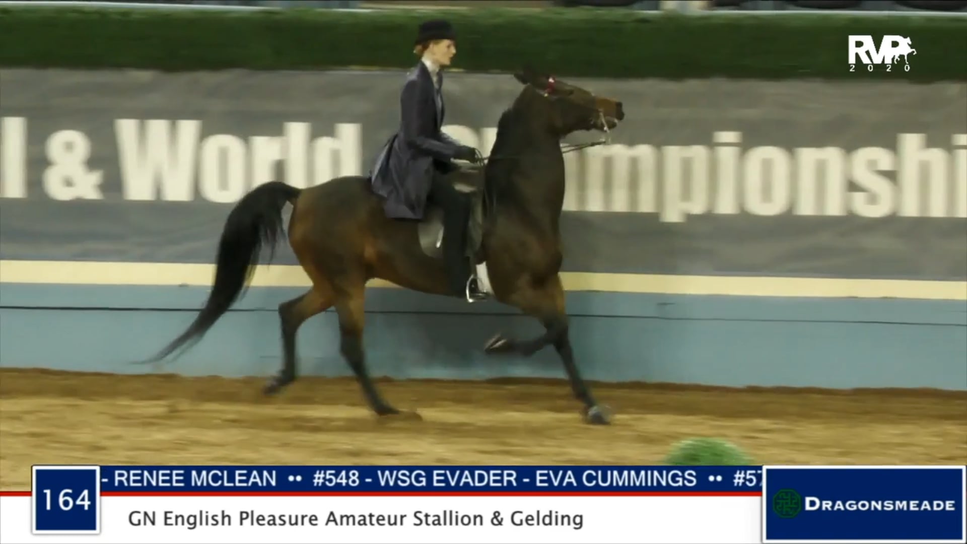 2020 MGN - Class 164 GN English Pleasure Amateur Stallion & Gelding