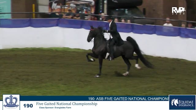 KC25 - Class 190 - Five Gaited Nation...