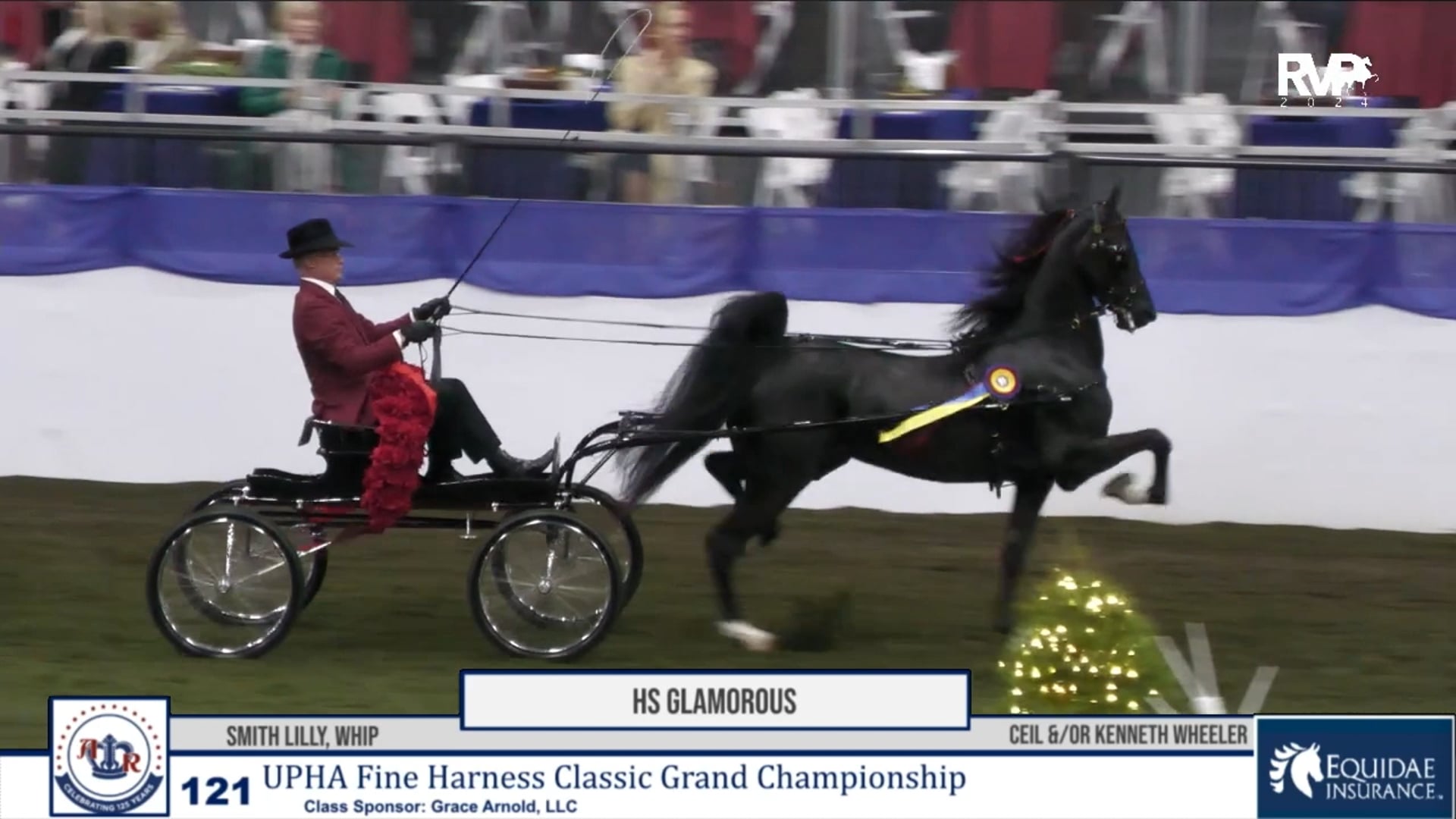 AR24 - Class 121 - HS Glamorous and Smith LIlly, Whip