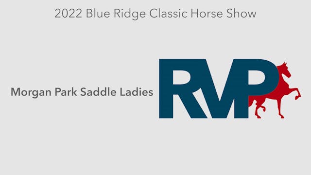 BR22 - Class 96 - Morgan Park Saddle ...