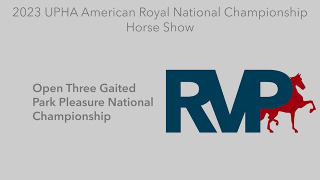 AR23 - Class 114 - Open Three Gaited ...