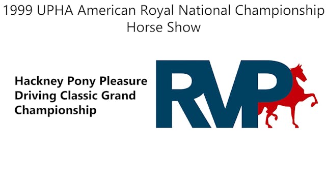 AR 1999 - Class 70 - Hackney Pony Ple...