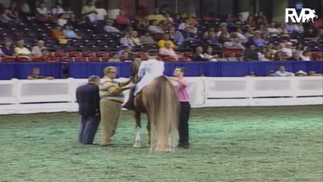 2007 WCHS Class 79 Junior Exhibitor F...