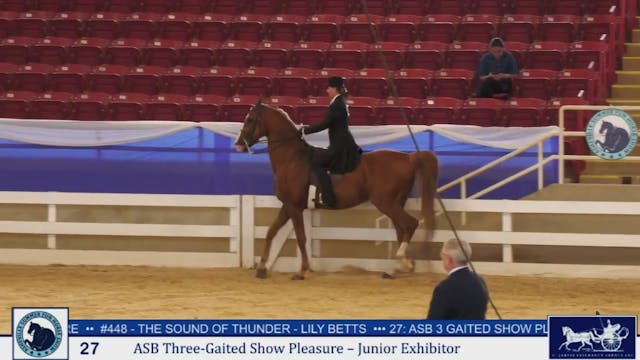 ASF25 - Class 27 - ASB Three Gaited S...