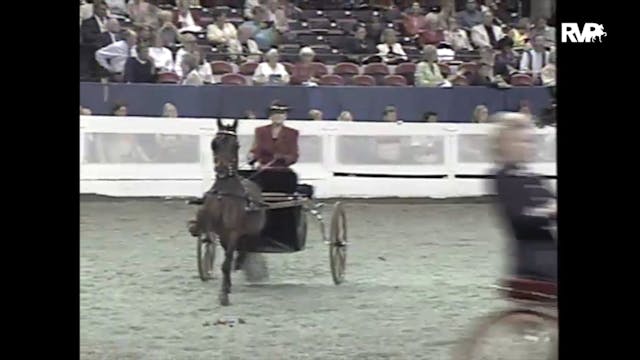 1997 WCHS - Class 129 Amateur Adult H...