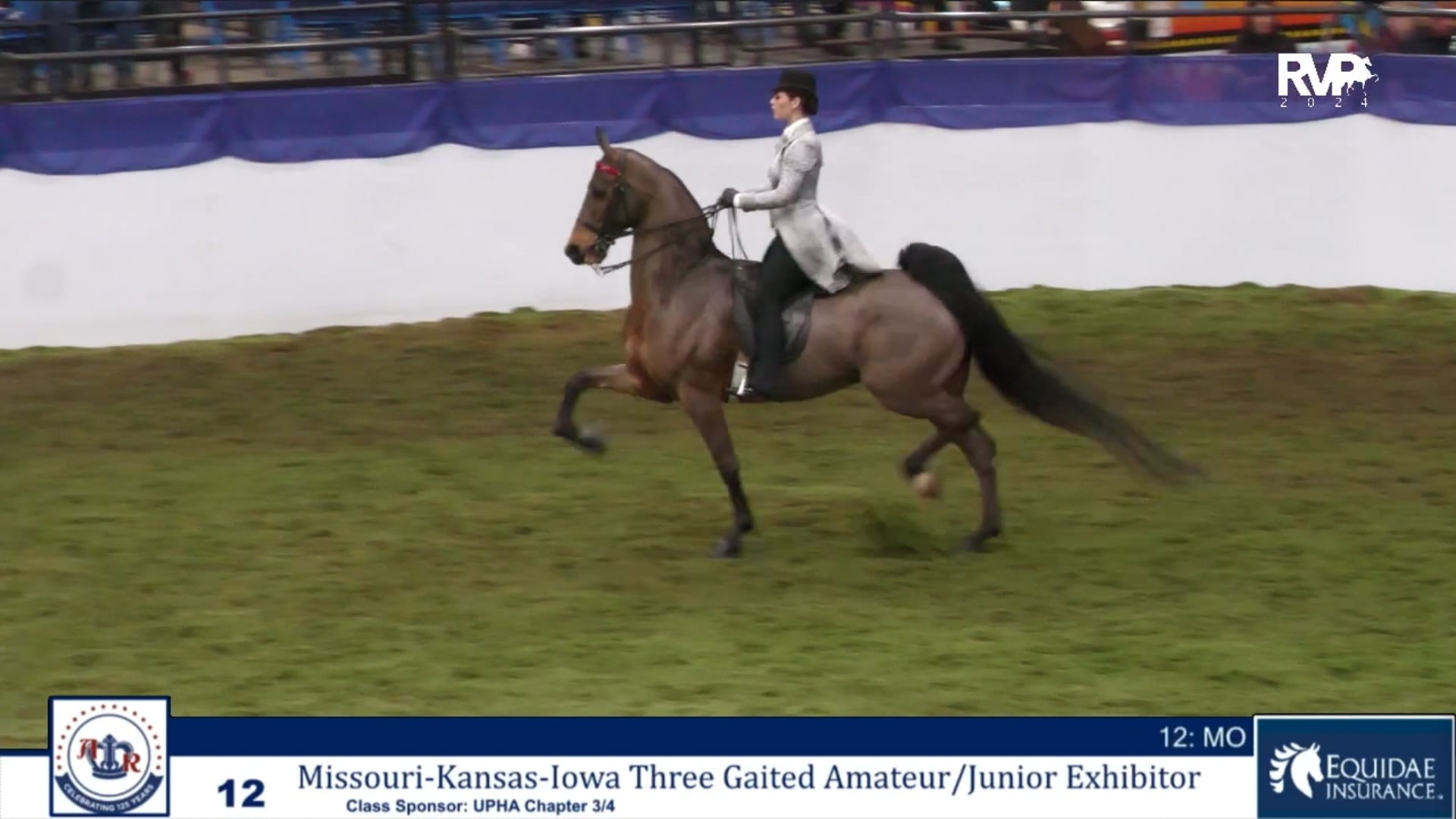 AR24 - Class 12 - Missouri-Kansas-Iowa Three Gaited Amateur-Jr Exhibitor