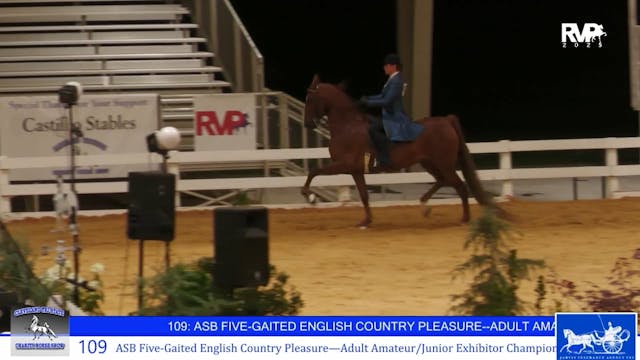 CTS25 - Class 109 - ASB Five Gaited E...