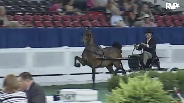 2010 World's Championship Horse Show ...