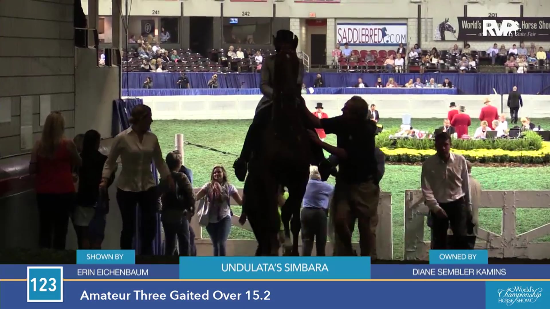 WCHS15 - Undulata's Simbara