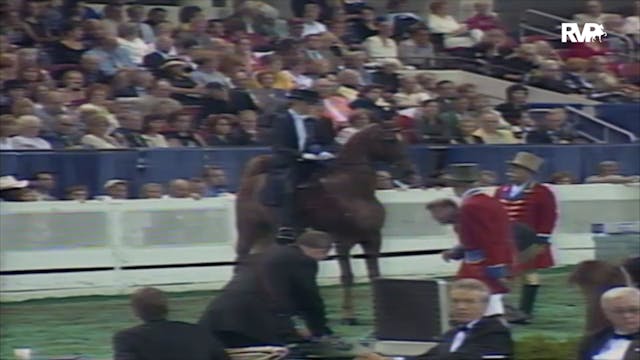 2000 WCHS Class 218 Three Gaited Juni...