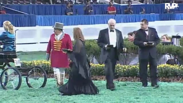 2010 World's Championship Horse Show ...