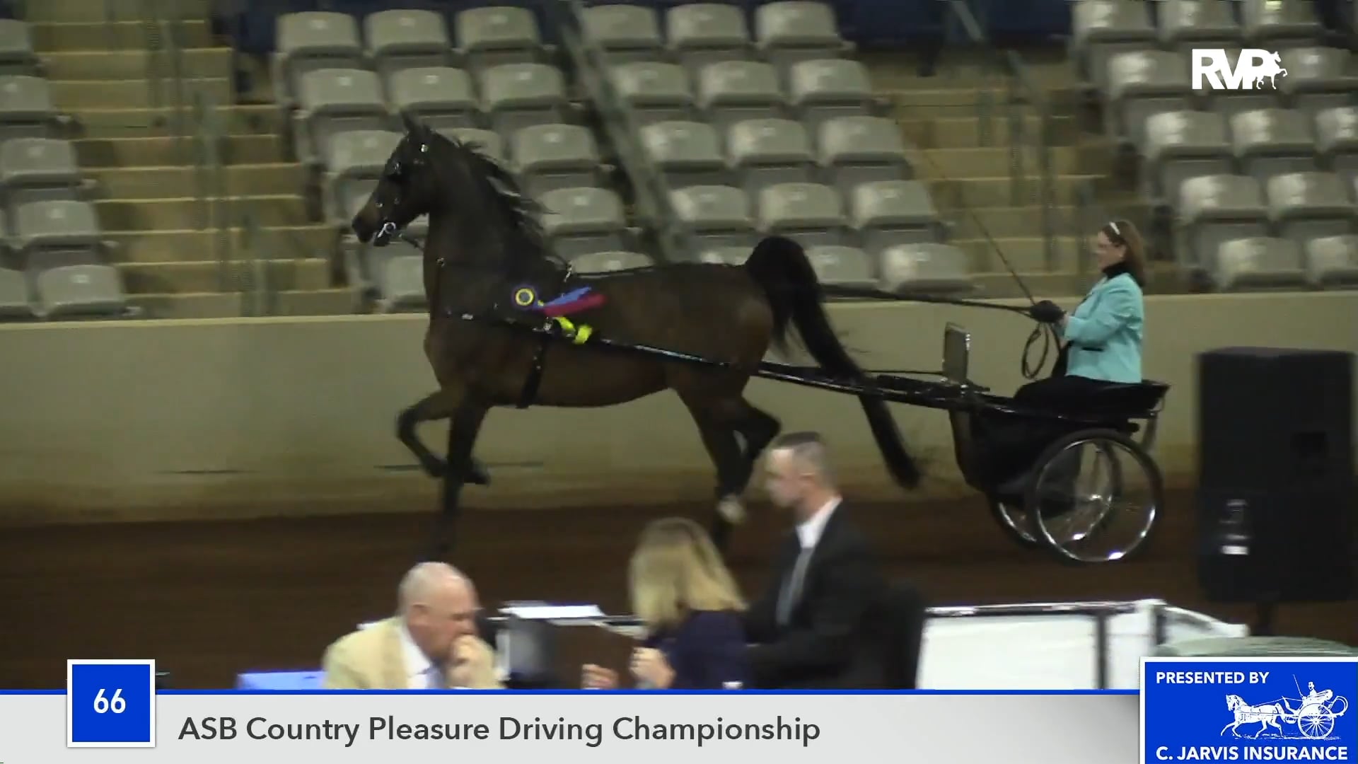 SSS18 Class 66 CH Haunting